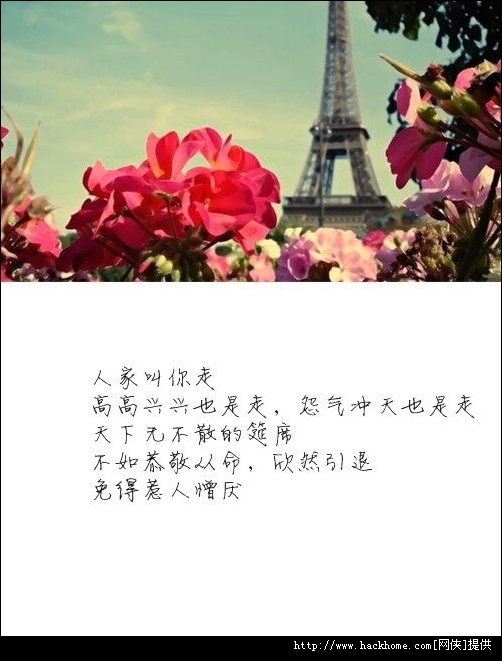 图配文 亦舒的经典语录合集