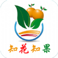 知花知果