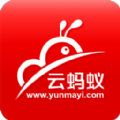 云蚂蚁
