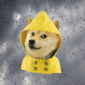 单身狗天气