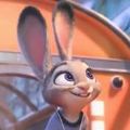 疯狂动物城中文版
