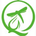 绿蜻蜓