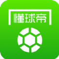 懂球帝电脑版