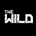 ҰιٷiOSʽ棨The Wild v1.0