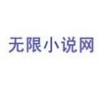 无限小说网手机版