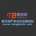腾宝网官网版