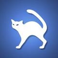 飞猫云vip账号共享