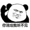 你说啥我听不见表情包