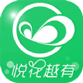 悦花越有官方版