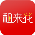 租来花