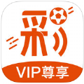 全民智投