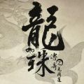 龙珠传奇小说