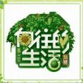 向往的生活游戏