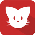 猫咪福利