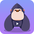 酷我聚星直播官网软件app下载 v4.3.1