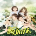 囧女翻身之嗨如花2第二季百度云