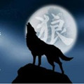 天狼直播二维码