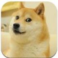 sedog磁力链接