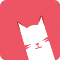 猫咪1.0.8版本
