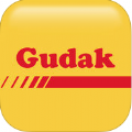 gudak cam安卓版