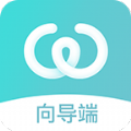 丸子向导端官网版