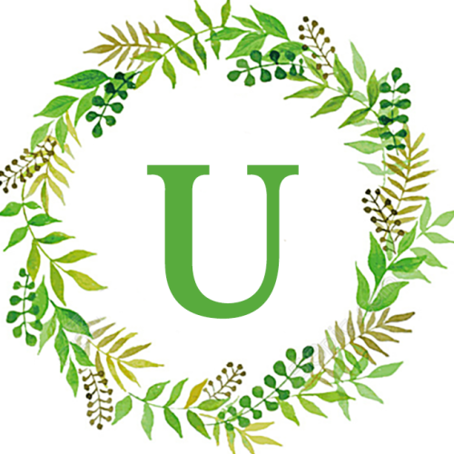 U券券小程序