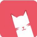 猫咪app宅男必备