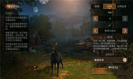 什么叫衍生人口_人口普查