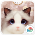 抖音斑布猫动态壁纸