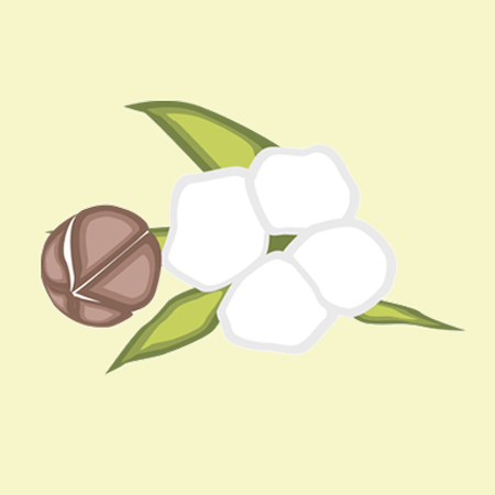 轻絮定制小程序