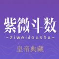 紫薇斗数