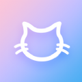猫猫网盘