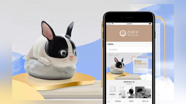 西柳家app下载手机版图片2