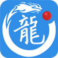 九龙璧