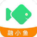 融小鱼