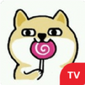 小狗视频